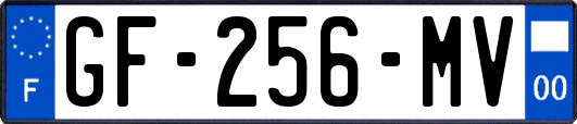 GF-256-MV