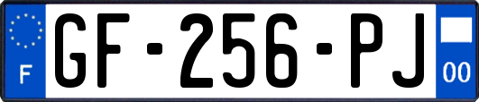GF-256-PJ