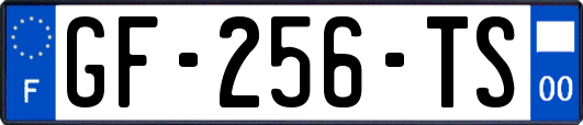 GF-256-TS