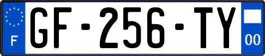 GF-256-TY