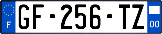 GF-256-TZ