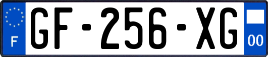 GF-256-XG