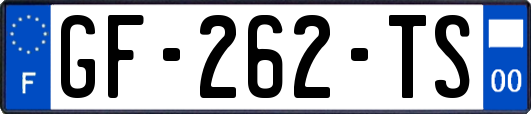 GF-262-TS