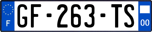 GF-263-TS