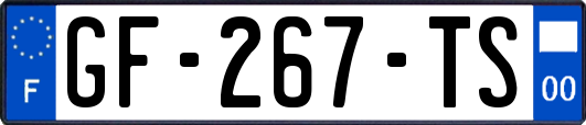 GF-267-TS