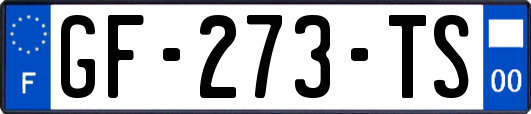 GF-273-TS