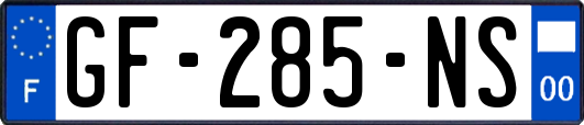 GF-285-NS