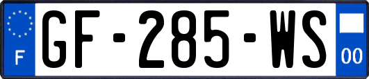 GF-285-WS
