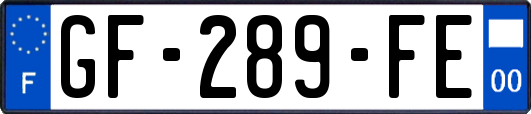 GF-289-FE