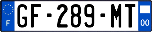 GF-289-MT