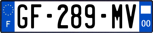 GF-289-MV