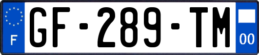 GF-289-TM