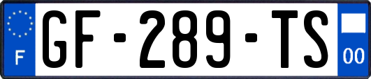 GF-289-TS
