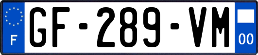 GF-289-VM