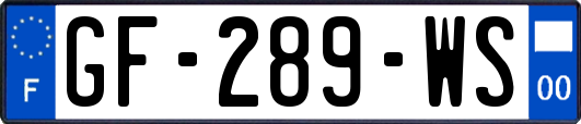 GF-289-WS