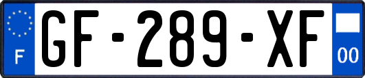 GF-289-XF