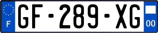 GF-289-XG