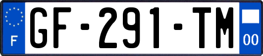 GF-291-TM