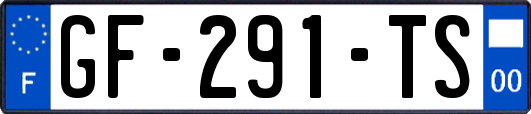 GF-291-TS