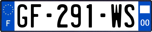GF-291-WS