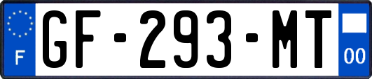 GF-293-MT