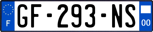 GF-293-NS
