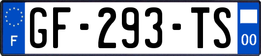 GF-293-TS