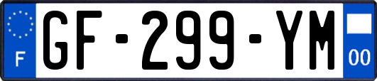 GF-299-YM