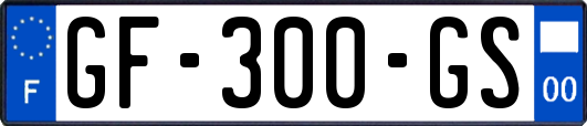 GF-300-GS