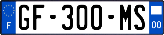 GF-300-MS