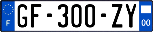 GF-300-ZY