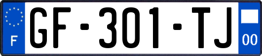 GF-301-TJ