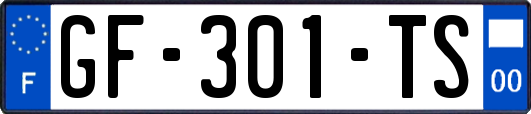 GF-301-TS