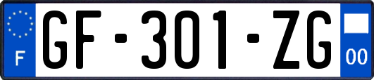 GF-301-ZG