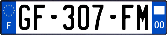 GF-307-FM
