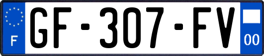 GF-307-FV