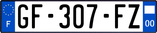 GF-307-FZ
