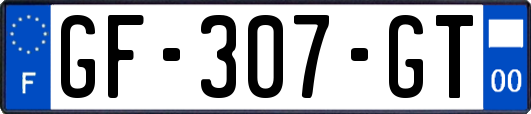 GF-307-GT