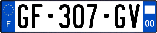 GF-307-GV