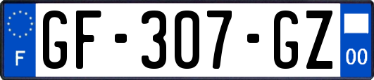 GF-307-GZ