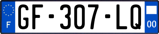 GF-307-LQ