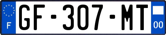 GF-307-MT