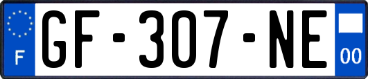 GF-307-NE