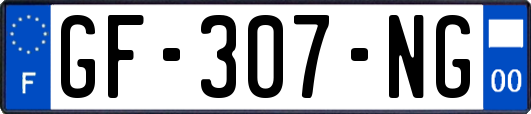 GF-307-NG
