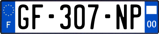 GF-307-NP