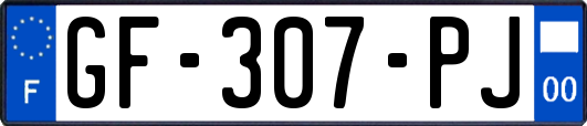 GF-307-PJ