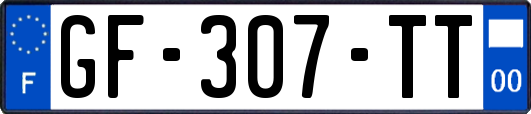 GF-307-TT