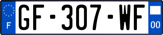GF-307-WF
