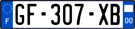 GF-307-XB