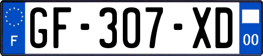 GF-307-XD